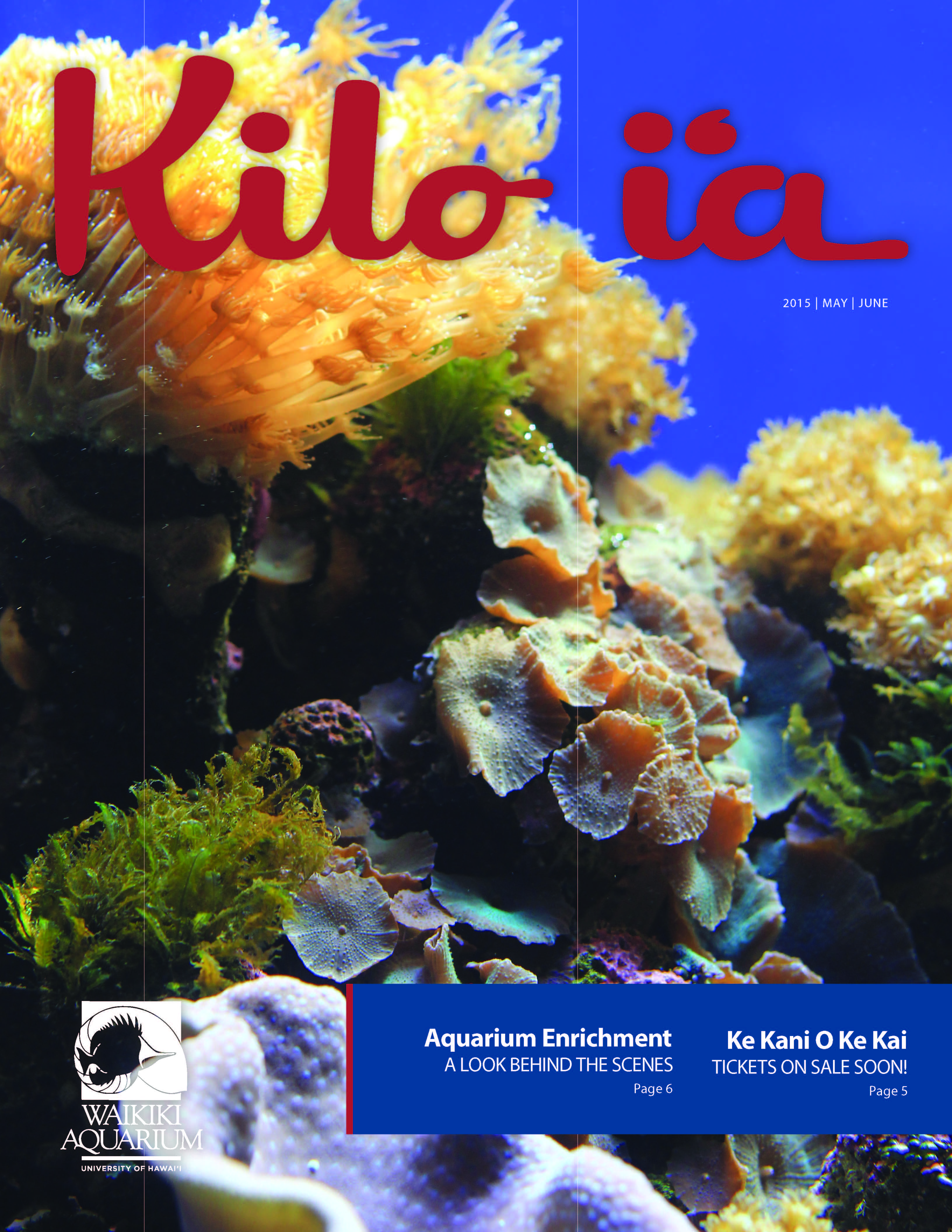 Kilo i'a magazine 2015