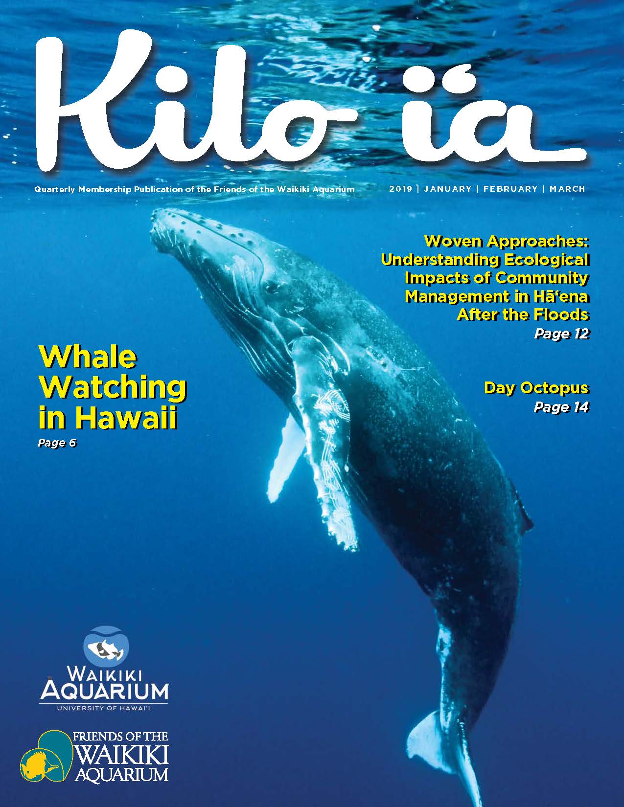 Kilo i'a magazine 2019