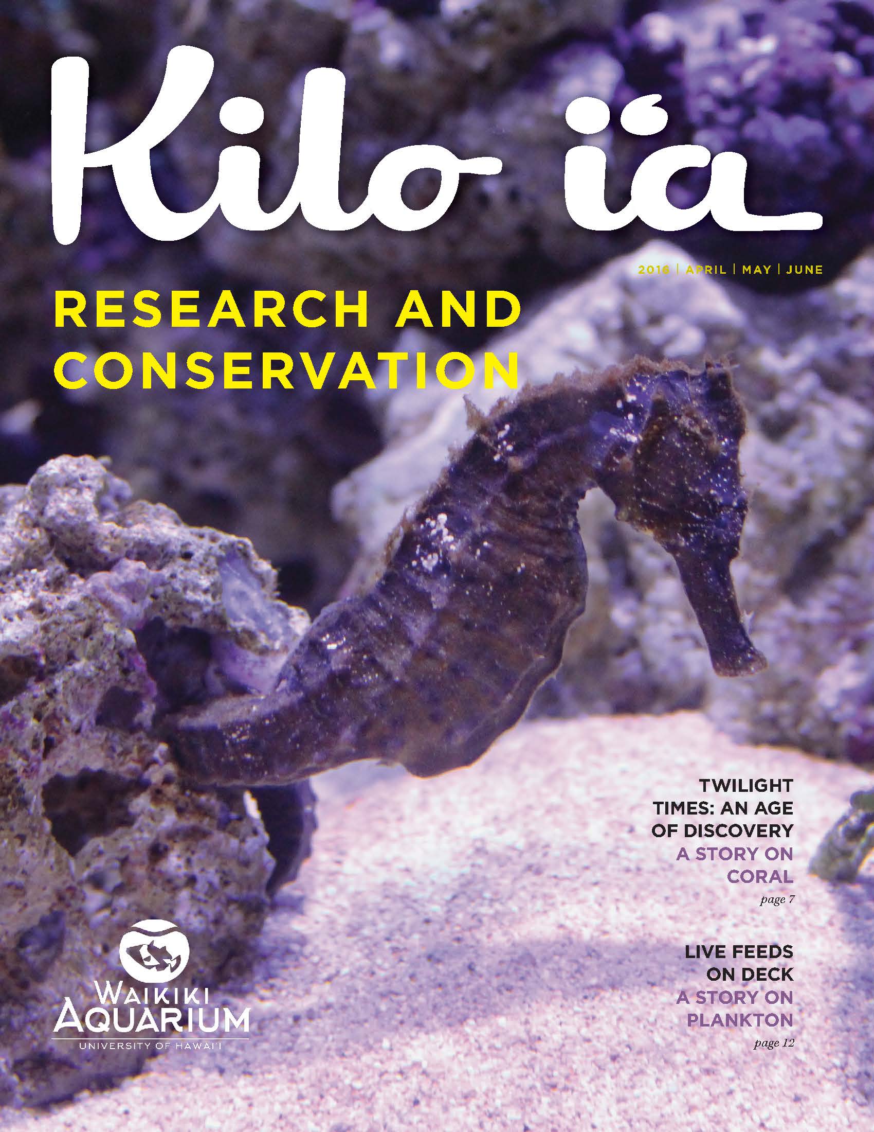 Kilo i'a magazine 2016