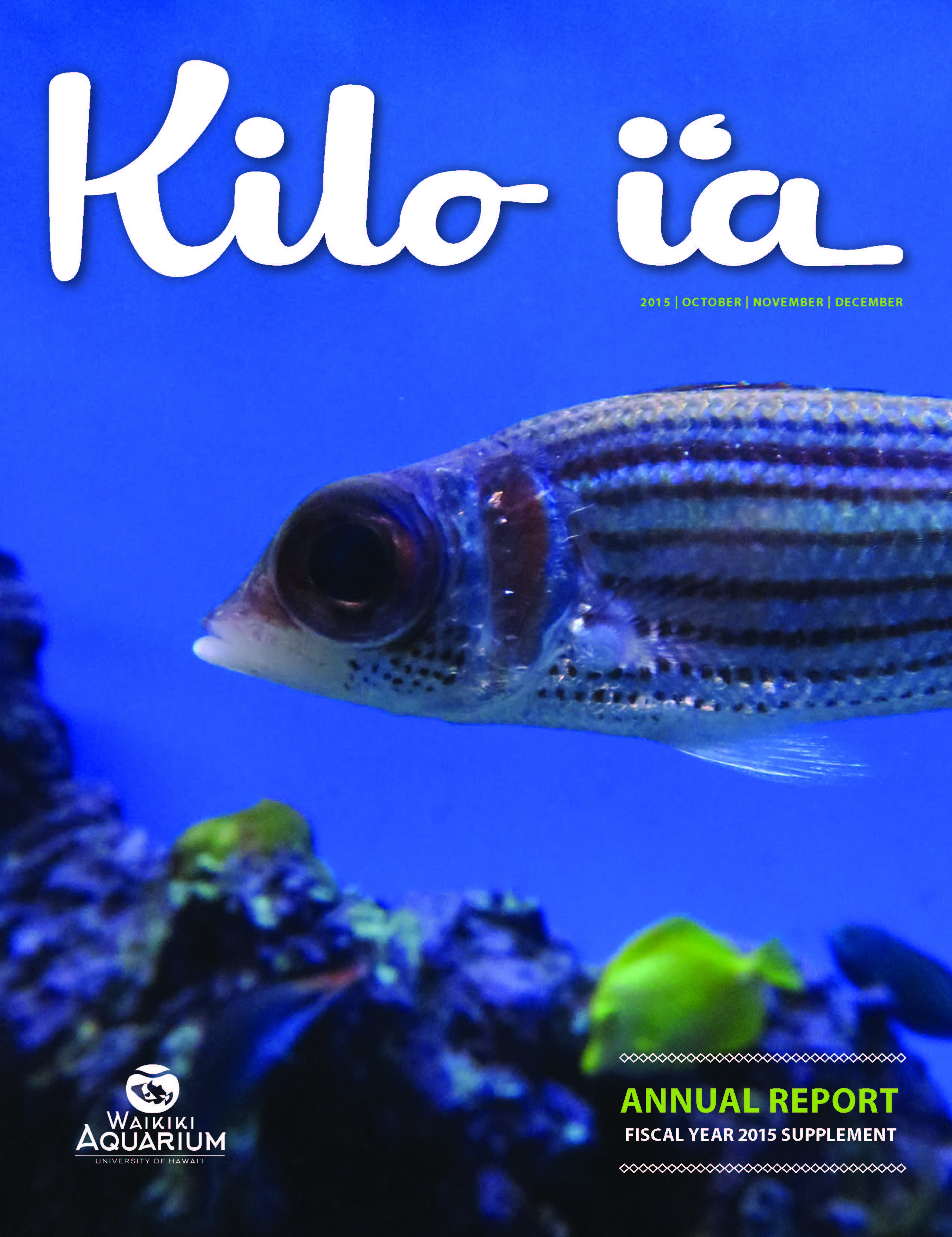 Kilo i'a magazine 2015