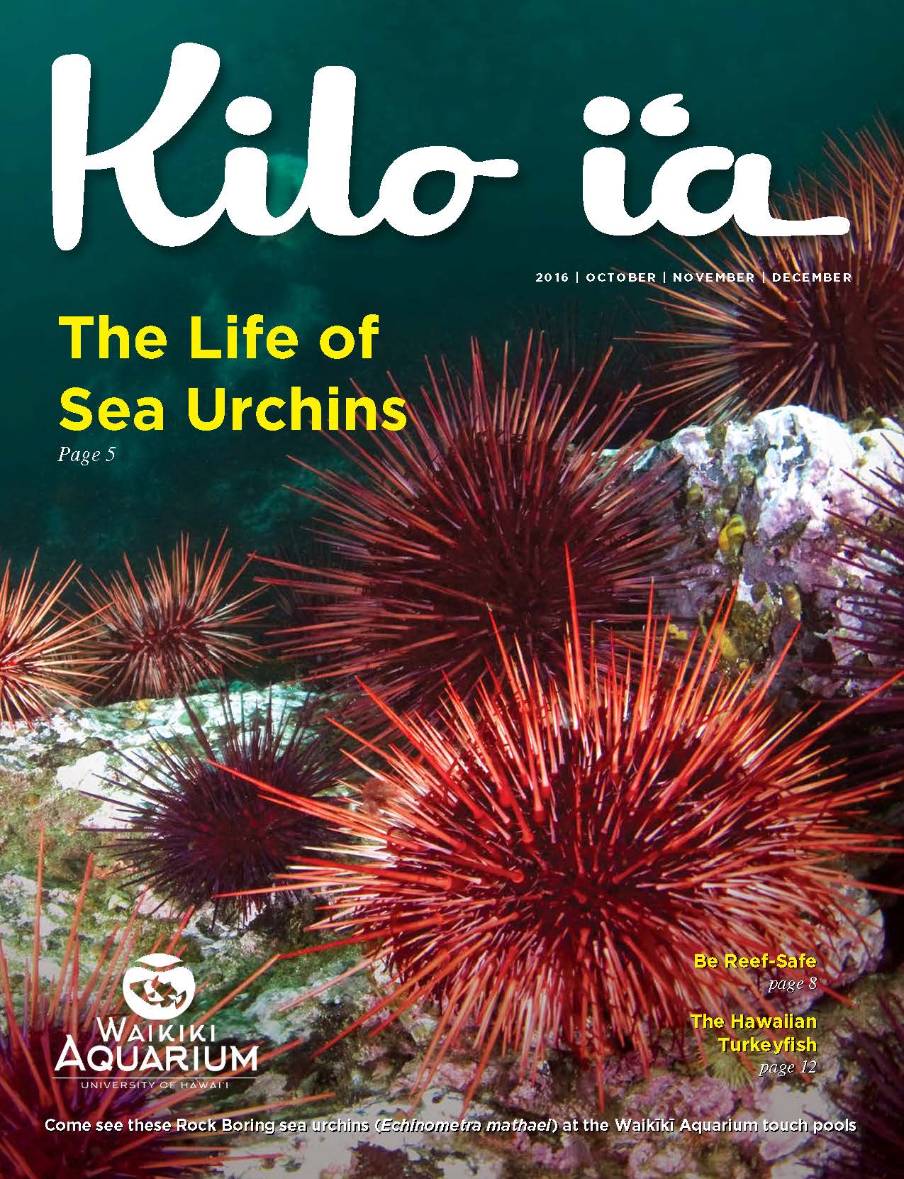 Kilo i'a magazine 2016
