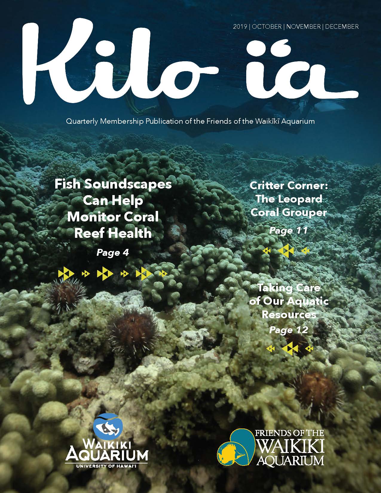 Kilo i'a magazine 2019