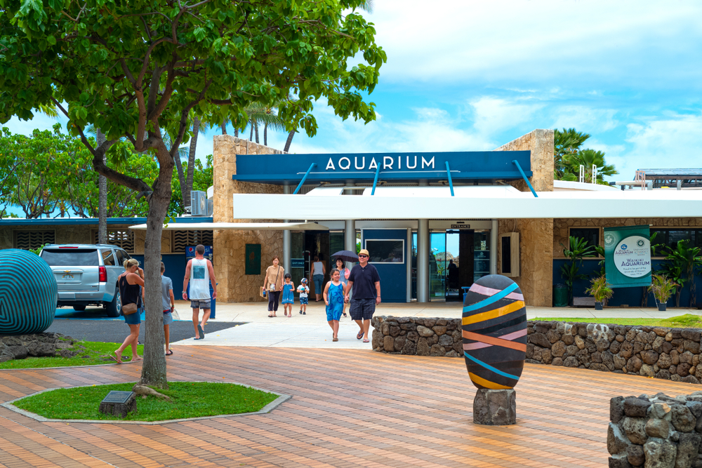 About the Waikiki Aquarium