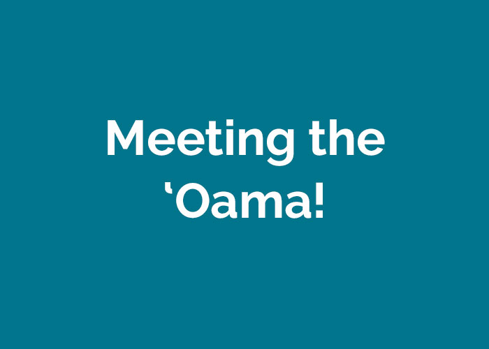 meeting-the-oama-fowa