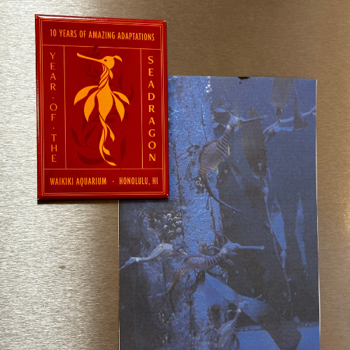 Year of the Seadragon Magnet