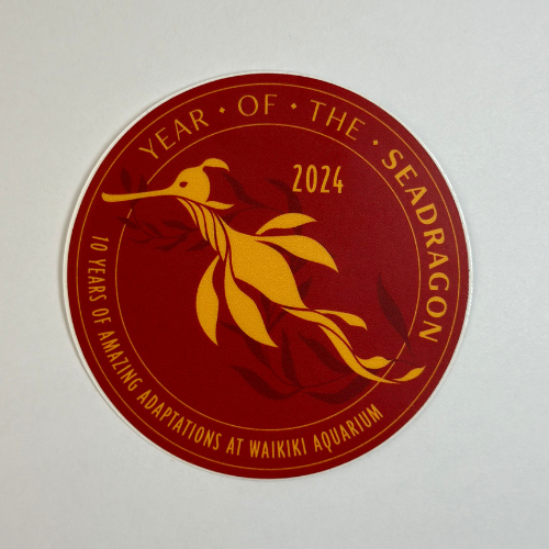 Year of the Seadragon Round Sticker